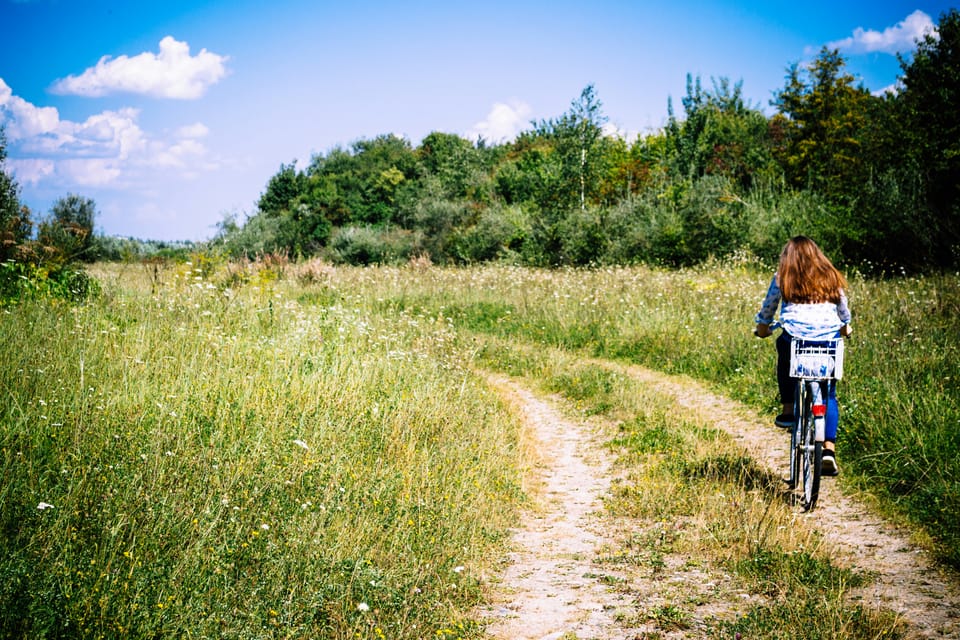 Like riding a bike: reclaiming the joy of learning