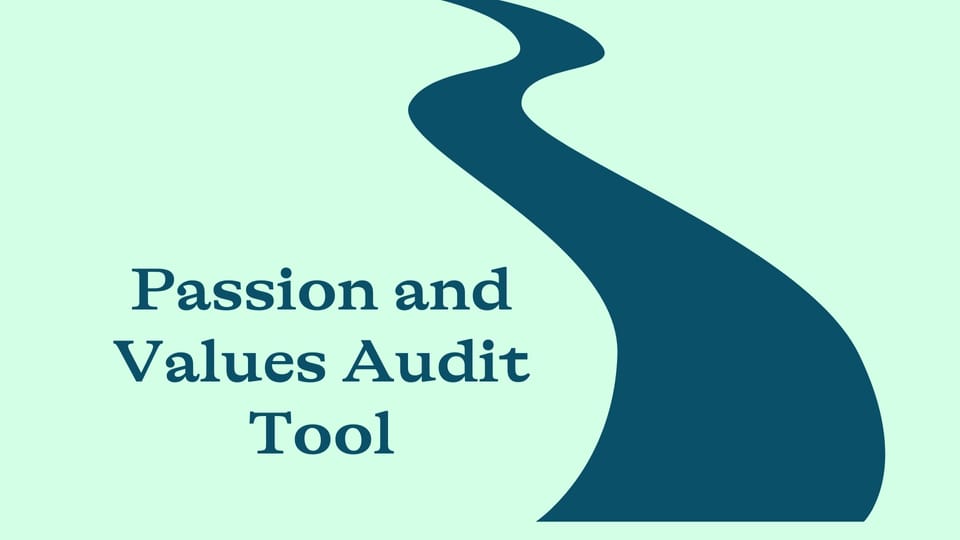 The Passions and Values Audit Tool